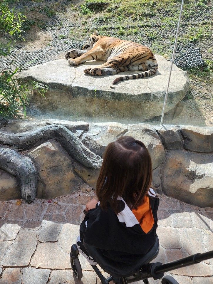 대구 동물원 네이처파크 할로윈 패스티벌 #대구아이와가볼만한곳