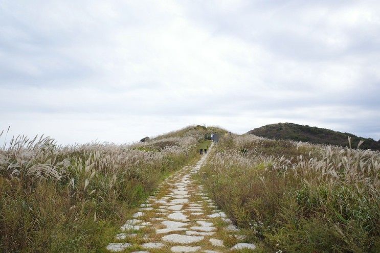 07 산청 황매산 억새 산행 (미리내파크제1주차장 - 황매산...