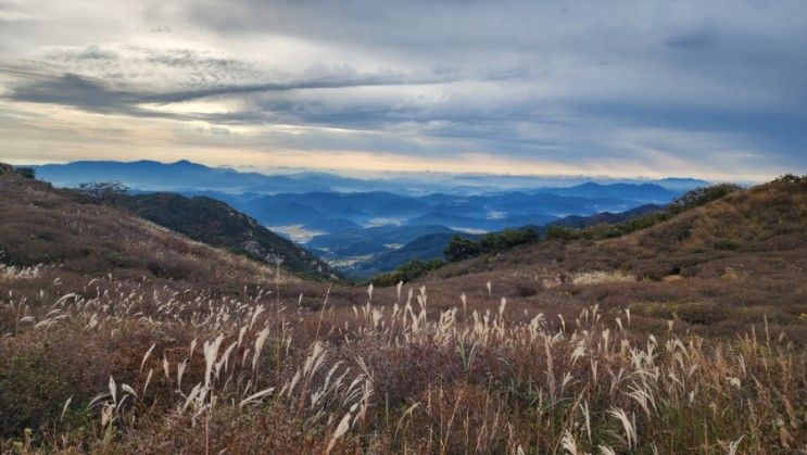 합천 가볼만한곳.황매산억새축제.황매산 정상주차장(1탄)