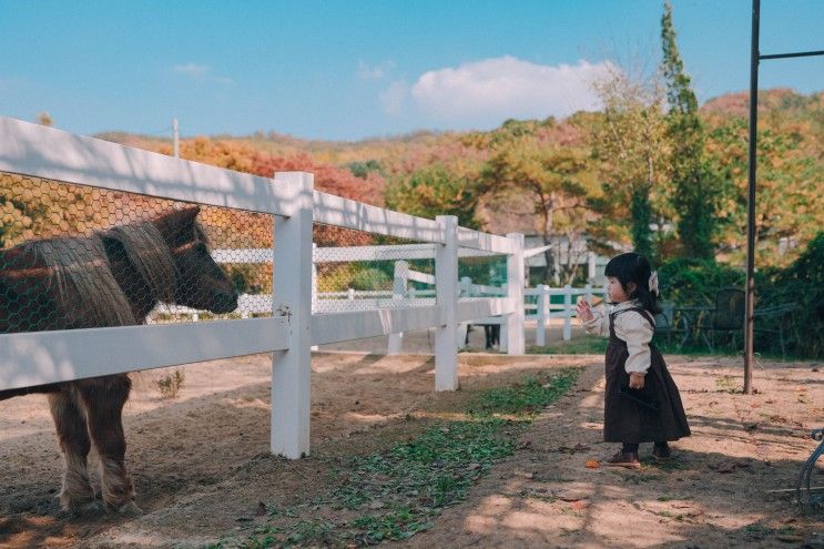 화성 아기랑 갈만한 곳 드림아트스페이스 먹이 체험 카페