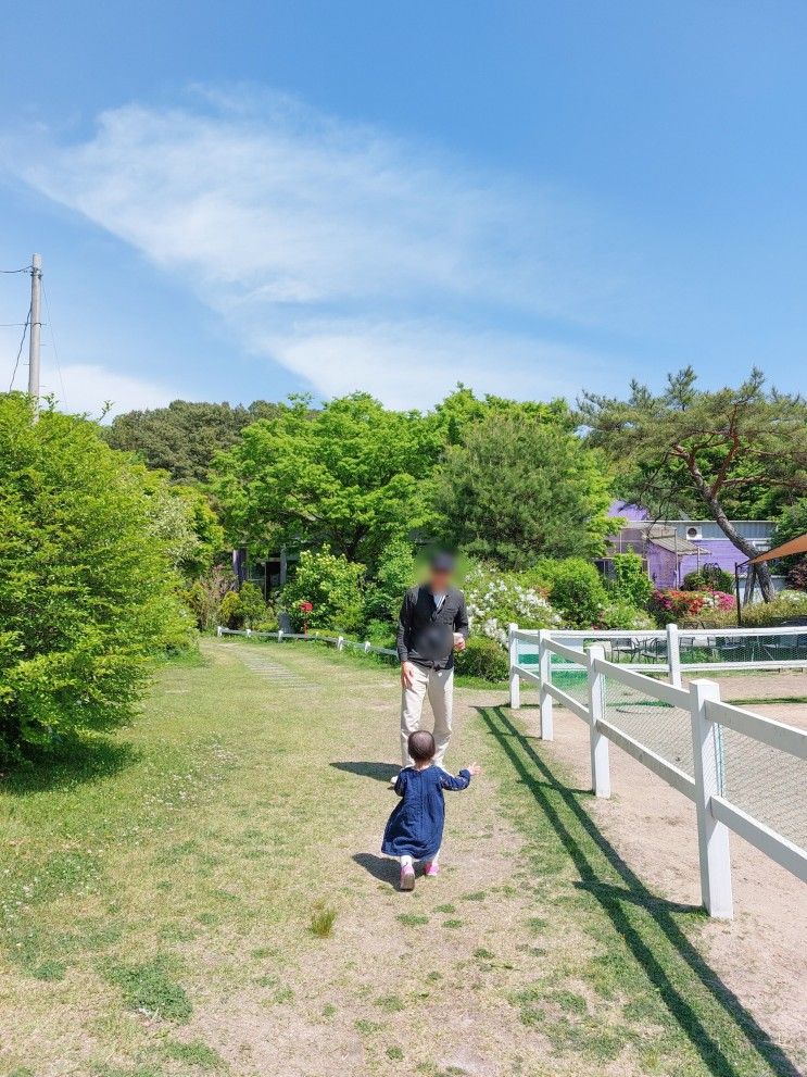 드림아트스페이스 :: 화성시 아기랑 가볼 만한 야외 카페 추천