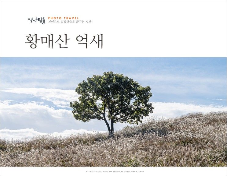 합천 황매산 억새 축제 경남 데이트 코스 합천 여행 황매산...