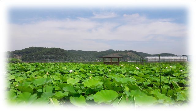 ‘연이랑 명주랑’여름 전경