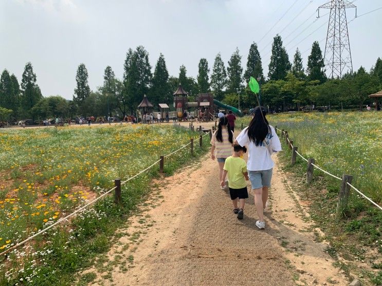 아이들과함께 : 인천대공원 아이와주말나들이 인천곤충채집 인천가볼만한곳