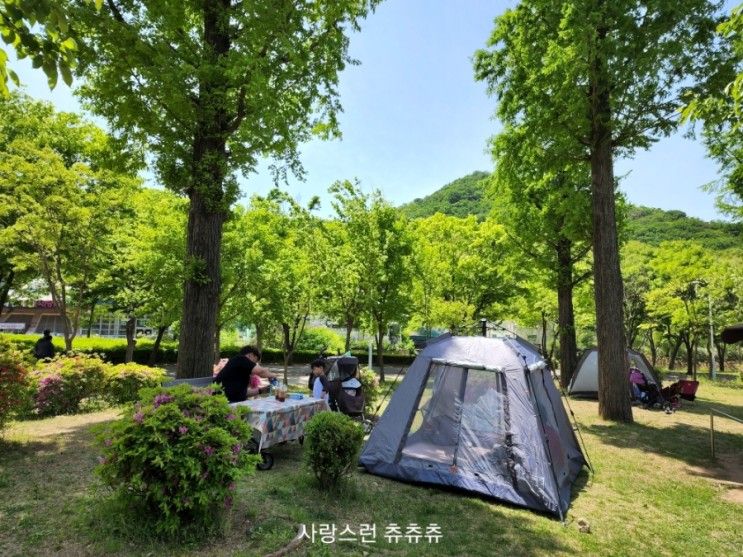 주말나들이 아이랑 가기 좋은 인천대공원 (원터치 텐트, 흙놀이터)