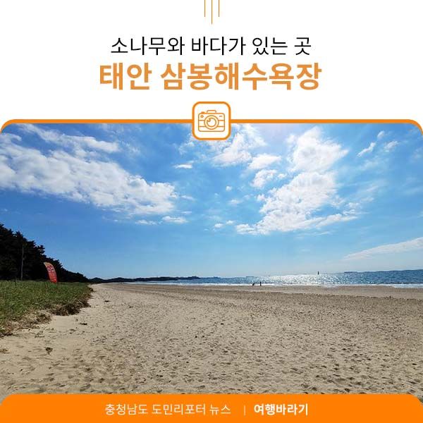 소나무와 바다가 있는 곳 ‘삼봉해수욕장’