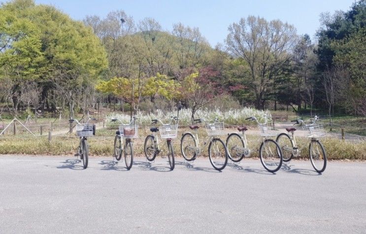 인천대공원 자전거대여 평일에야 느낄수 있는 여유