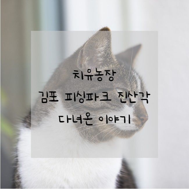 강아지와 고양이를 만나 치유되는 곳 - 김포 피싱파크 진산각
