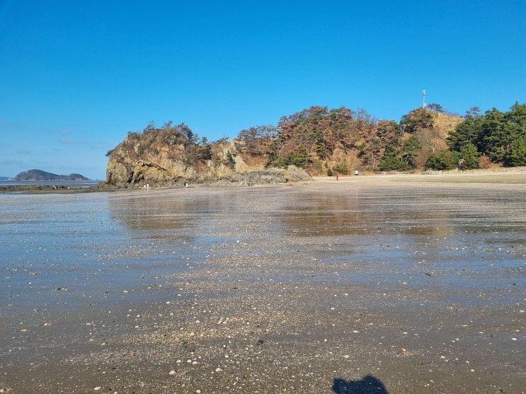 <삼봉해수욕장>아이들과 조캐캐기 체험과 해루질 하기 좋은 곳