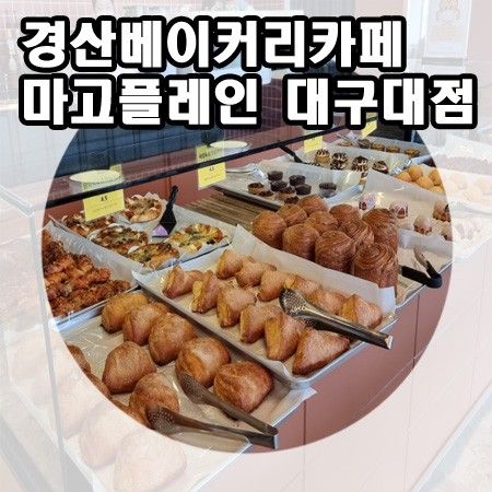 초대형 베이커리 카페 포토존이 많은 마고플레인 대구대삼거리점