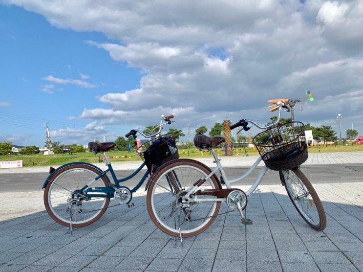 [대구/달성군] 자전거 타기 좋은 나들이 장소 '강정보 디아크 광장'