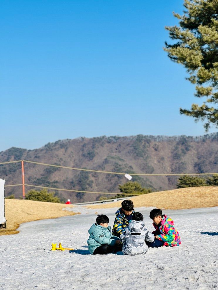 홍천 비발디파크 소노펠리체 리조트 골드스위트 취사형...