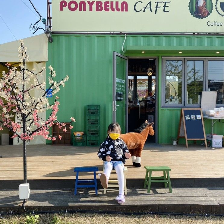 유량동 포니벨라 | 천안 아이와 가기좋은 동물체험 카페