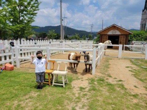 천안 아이들과 가볼만한곳 * 조랑말이있는 포니벨라 카페