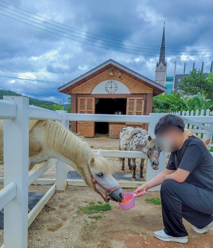 /포니벨라/ 아이와, 연인과 함께 즐길수 있는 말이 있는 카페