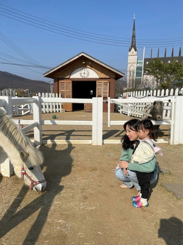 천안 포니벨라 아기랑 조랑말 구경