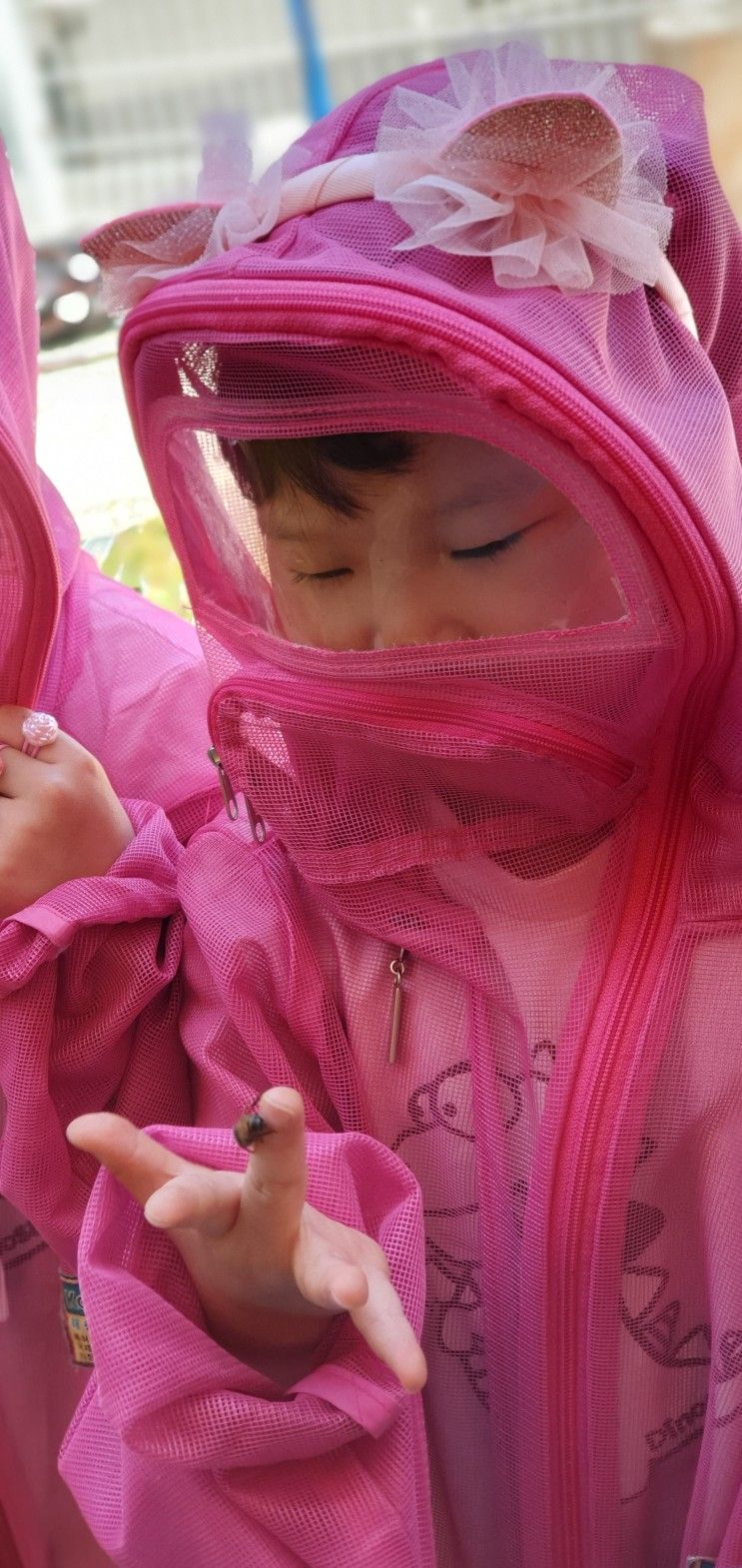 거제 연초 거제꿀벌교육농장 : 특별하고 신나는 체험학습
