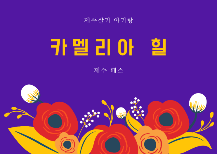 [제주아이와함께가볼만한곳] 카멜리아힐