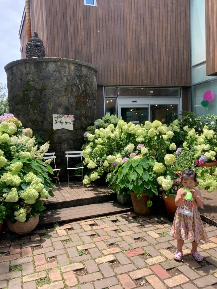 네 살 아이와 제주 2주 살기( 카멜리아 힐/ 고집돌우럭 중문점/ 카페 우주선)