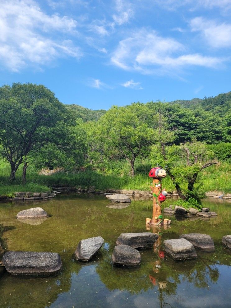 예천곤충박물관 아이와갈만한곳 곤충생태원