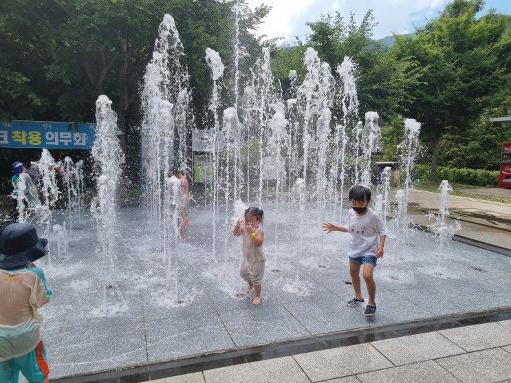 예천 곤충박물관 더위도 잊어요!