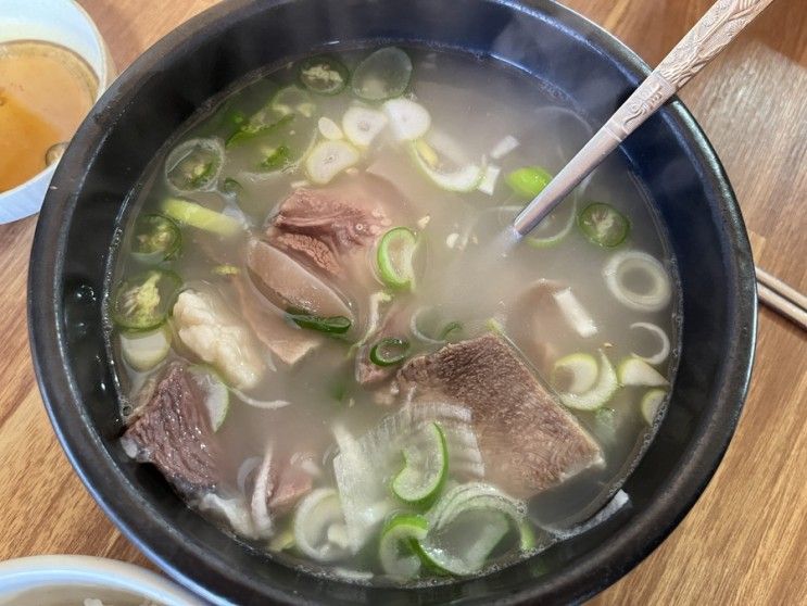 [한식] 아산 파라다이스 스파 도고 근처 해장국집 초정식당...