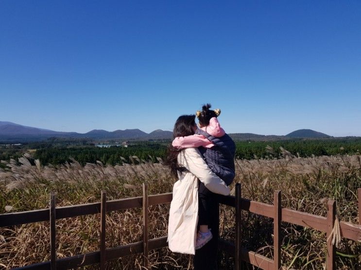 아이와 함께 제주도 가을여행 산굼부리 억새 즐기기