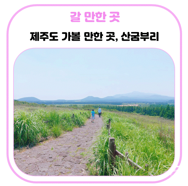 제주도 아이와 가볼 만한 곳 추천 산굼부리