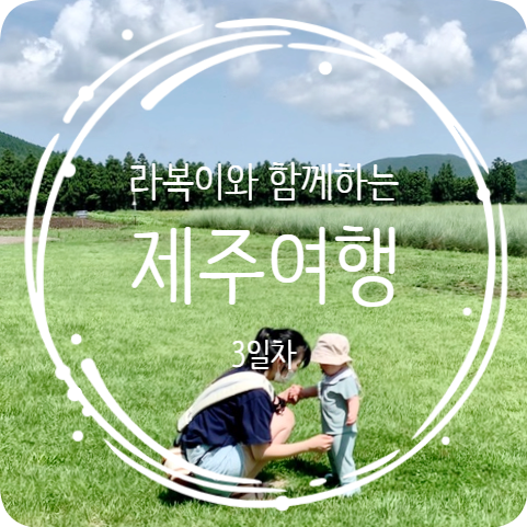 9박 10일 돌 아기와 제주여행 3일차 / 보롬왓, 만덕이네, 돌카롱 사려니숲길점, 산굼부리