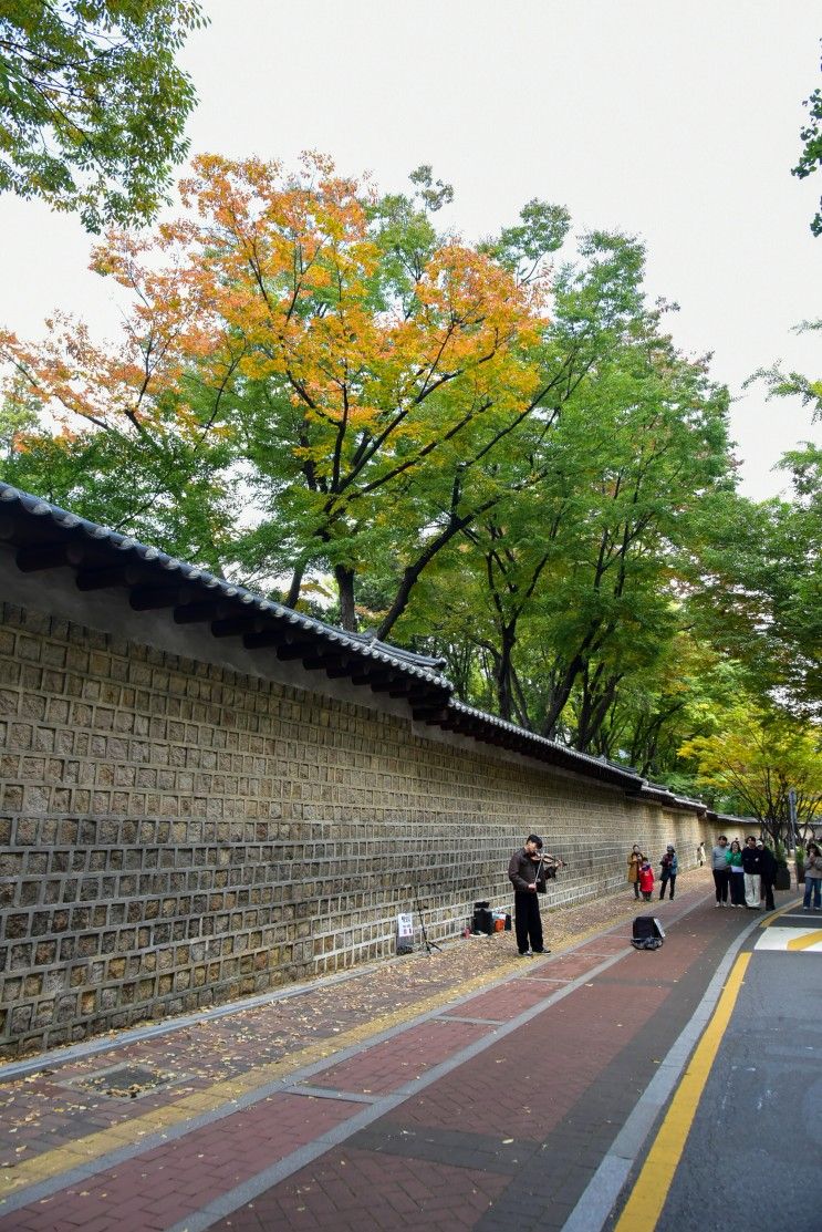 덕수궁 돌담길 단풍 과 돈덕전 가을 서울나들이 단풍시기...