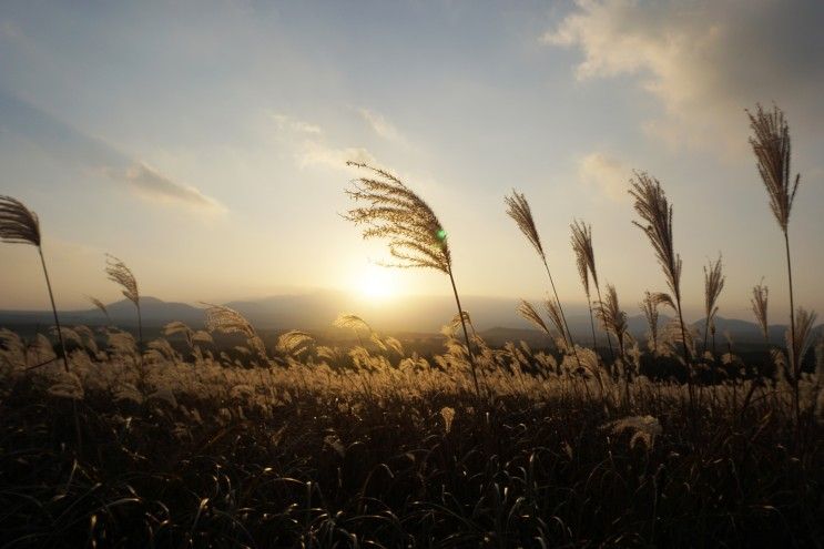 제주도 산굼부리 11월의 억새 절정 아이와 가기 좋아요