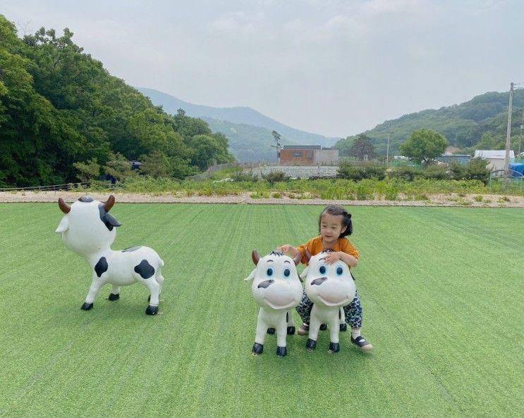 아기와 다양한 체험이 가능한 남양주 별내 팜스쿨