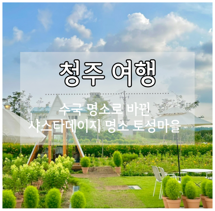 청주 수국 명소로 바뀐 샤스타데이지 명소 토성마을 카페