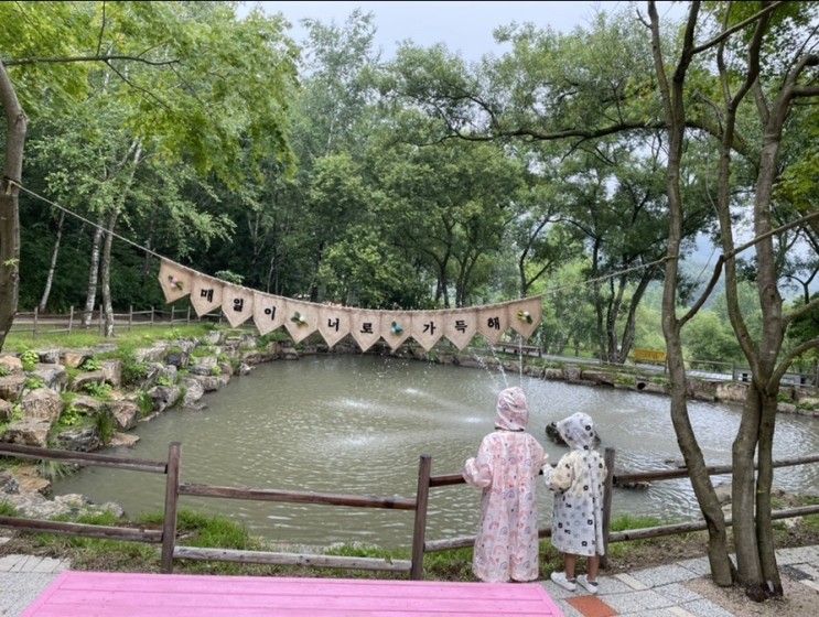 포천 가볼만한 곳 평강랜드는 아이와가볼만한곳으로 인생샷 제대로 남길 수 있어요