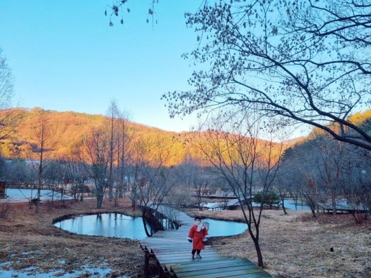 [경기 포천] '평강랜드' 겨울엔 야외놀이터 안함 + 더 가드너스 카페