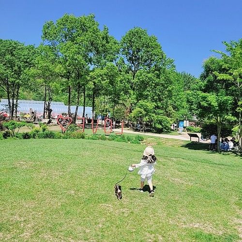 육아기록 210519。주아&요미와 함께하는 포천 드라이브 코스 평강랜드 (포천 아이와가볼만한곳 / 애견동반가능)