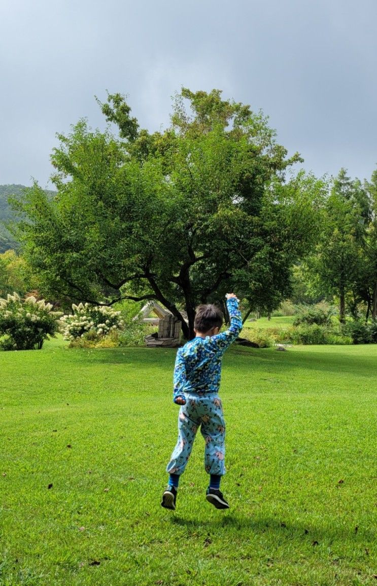 7세 아이와 포천 평강랜드(18만평 야외 식물원)