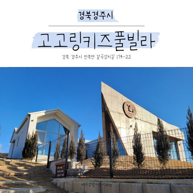 경주신축 독채펜션 고고링키즈풀빌라 +역대급 수영장과 노을맛집