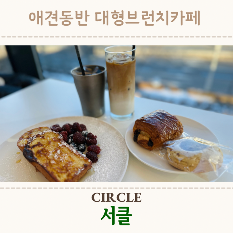 [분당/성남] 서클 | 분당 대형 브런치카페 / 애견동반카페 서클