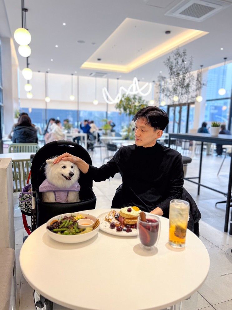분당 대형 브런치카페 서클 분당 애견동반카페 강아지 동반 식당