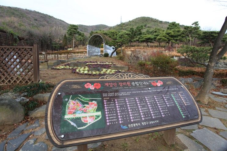 계양산 장미원 산림욕장 인천둘레길 계양산등산코스