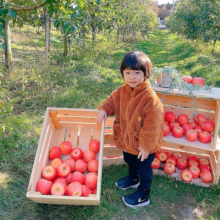 다양한 체험이 가능한 사과깡패, 포천 아이랑 가볼만한곳