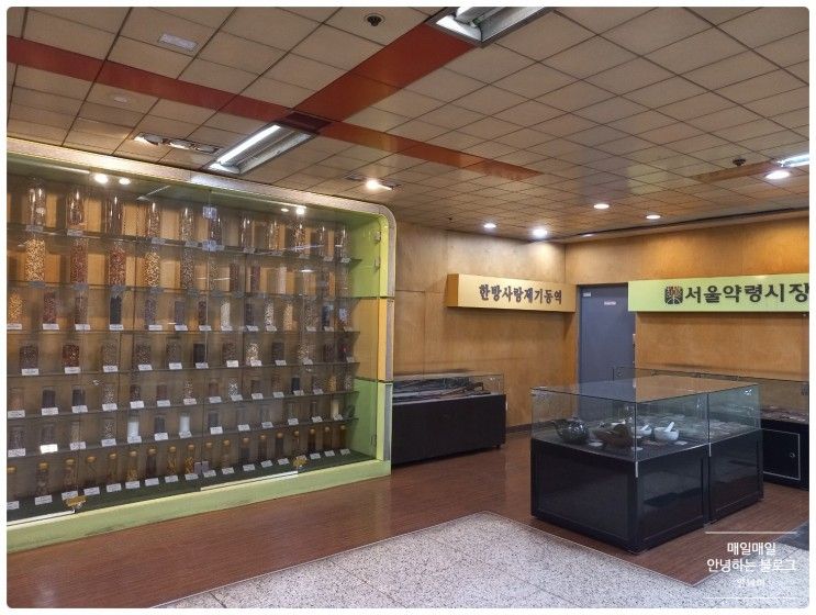 [동대문 가볼만한 곳] 서울 약령시 한의약박물관 방문 주차장