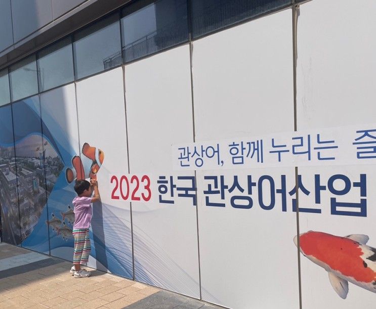 [시흥] 한국 관상어산업박람회/실내놀이터 점핑고 가오픈후기