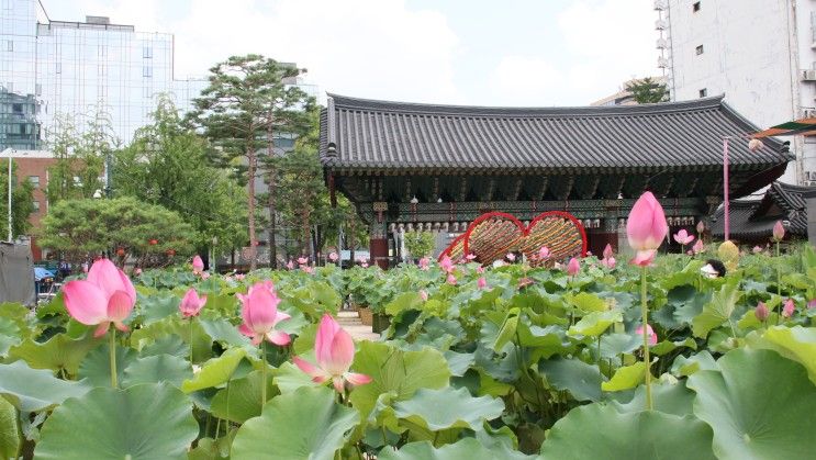 종로 조계사, 수송공원, 우정총국. 주변 먹거리 볼거리, 역시 종로