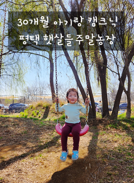 [캠크닉] 평택 햇살들 주말농장 (30개월아기랑 초딩언니랑)