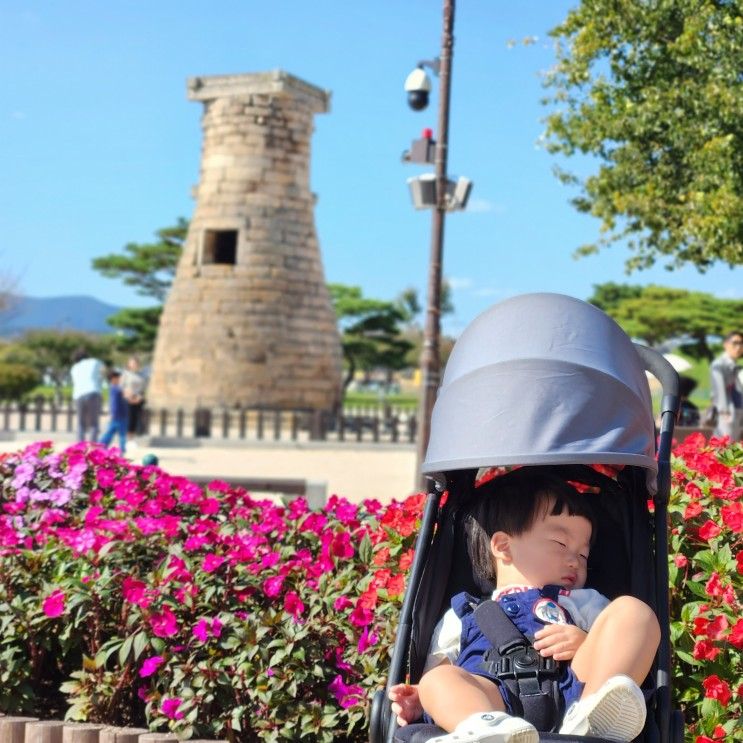 경주 아이와 가볼만한곳 코스 : 동궁과 월지, 첨성대 핑크뮬리...