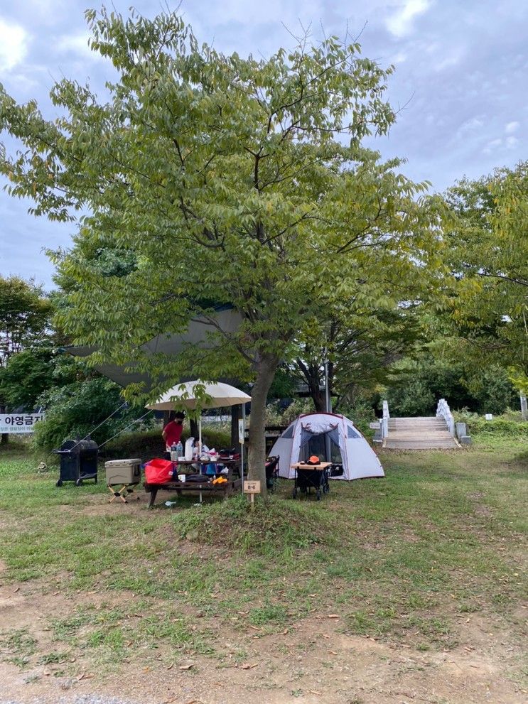 경기도 평택 가을 캠핑장 가볼만한곳 햇살들 주말농장 이용 후기