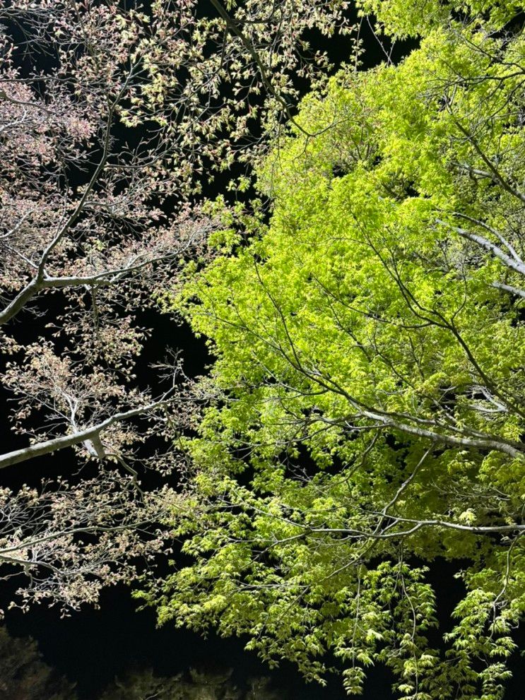 [경주] 경주 아이랑 가볼만한 곳, 동궁과 월지, 동궁원 버드파크