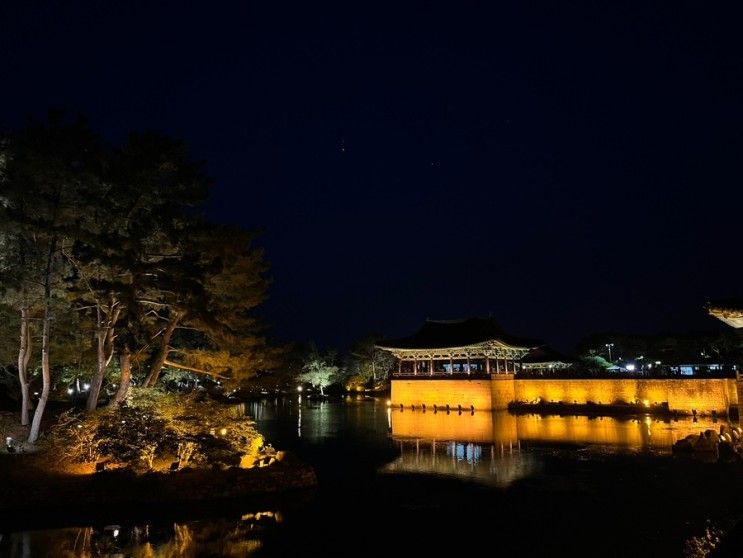 [경주 아이랑가볼만한 곳 경주 야경 명소 추천] 동궁과 월지